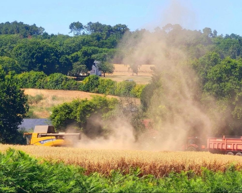 Feux de forêt : une semaine à très hauts risques !